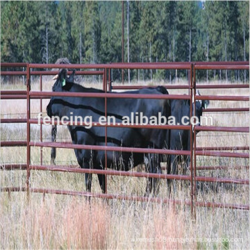 Corral Cattle fence panel